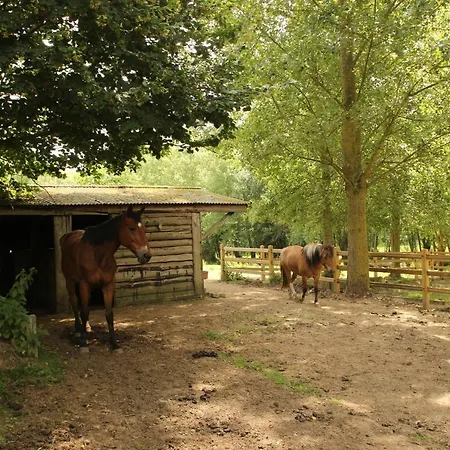 Bed & Breakfast Dotter 17 3*